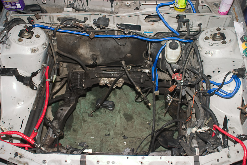 Devin's SHO Project