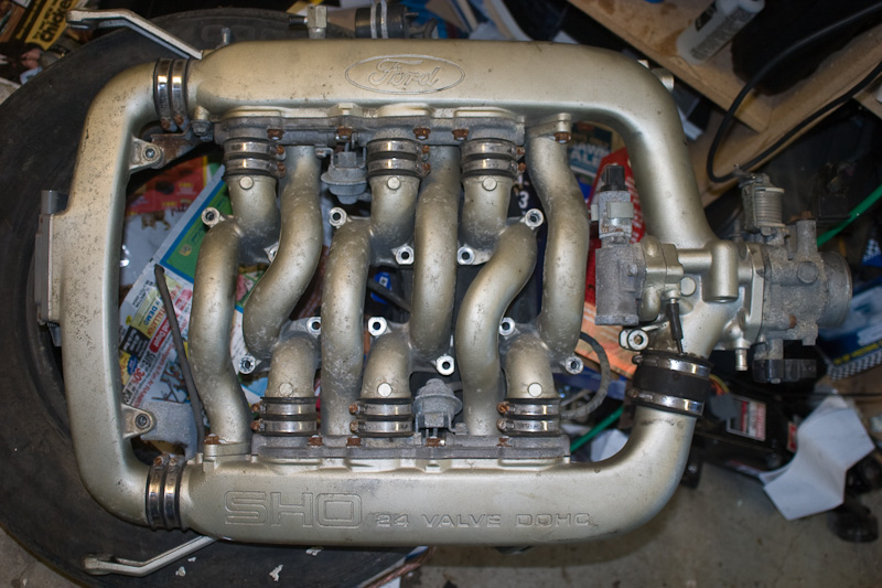 Devin's SHO Project