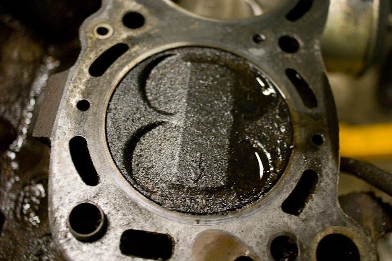 Devin's SHO Project