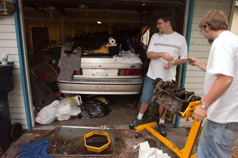 Devin's SHO Project