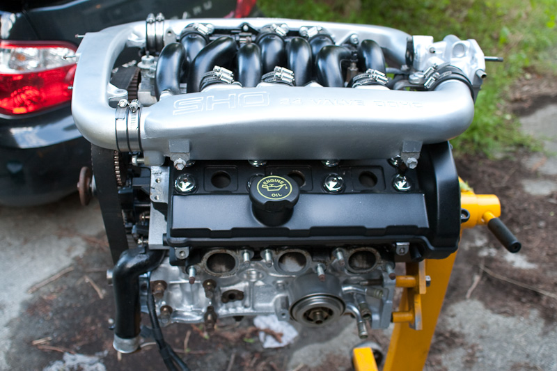 Devin's SHO Project